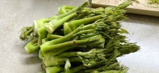 알 수 없음님의 자유주제 · 사진전 작성글 사진