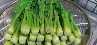 알 수 없음님의 자유주제 · 사진전 작성글 사진