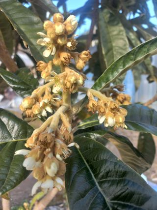 고라실아낙님의 자유주제 · 자유게시판 작성글 사진