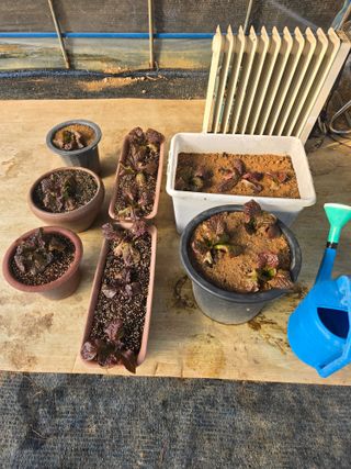 자연인님의 자유주제 · 자유게시판 작성글 사진