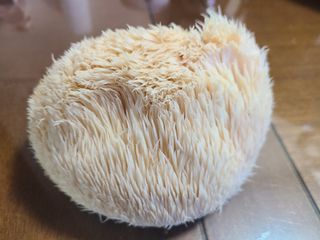 (천지산)님의 작성글 사진