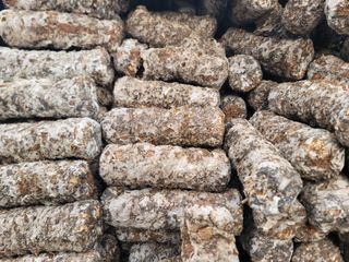 김안식~납작복숭아님의 기타작물 · 영농일지 작성글 사진