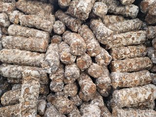 김안식~납작복숭아님의 기타작물 · 영농일지 작성글 사진