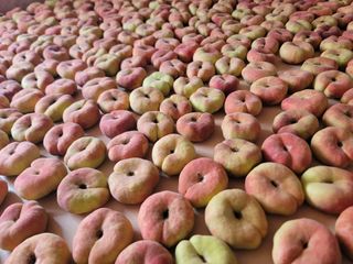 김안식~납작복숭아님의 기타작물 · 영농일지 작성글 사진