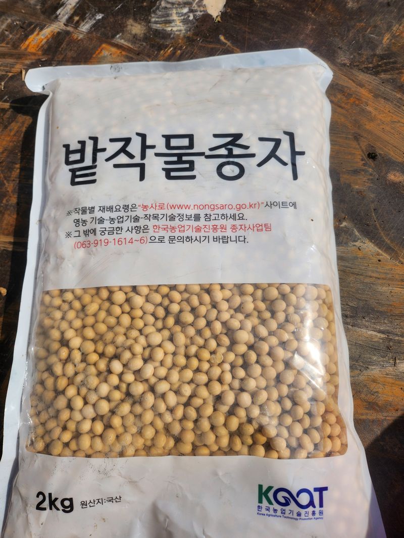 조일현님의 장터 판매 상품 [메주콩1kg] 첨부 사진