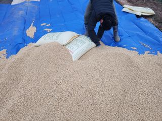 조일현님의 작성글 사진