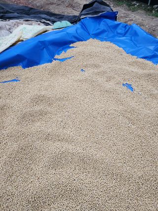 조일현님의 작성글 사진