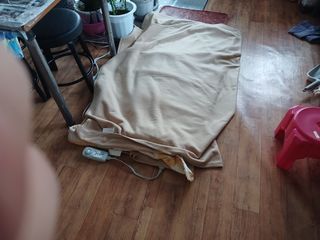 알 수 없음님의 자유주제 · 자유게시판 작성글 사진