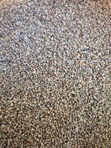 팜모닝 · 게시글 이미지