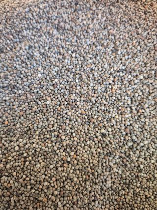 신재경님의 작성글 사진