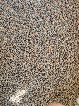 신재경님의 작성글 사진