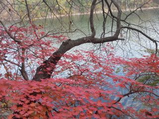 가인 5362님의 학창 시절, 가장 좋아했던 노래나 가수는? · 참여글 작성글 사진