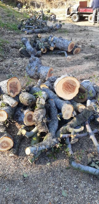 티케이팜님의 기타작물 · 영농일지 작성글 사진