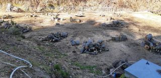 티케이팜님의 기타작물 · 영농일지 작성글 사진