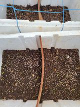 팜모닝 기타작물·영농일지 게시글 이미지