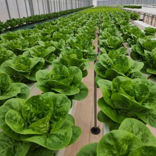 임다빈님의 자유주제 · 자유게시판 작성글 사진