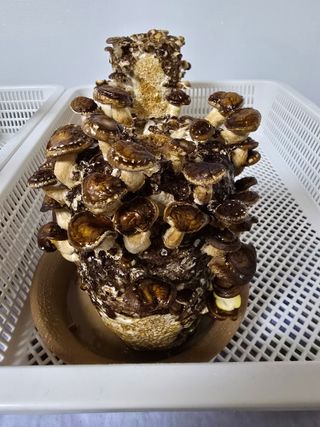 준수님의 작성글 사진