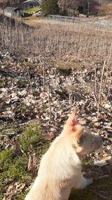 팜모닝 자유주제·사진전 게시글 이미지