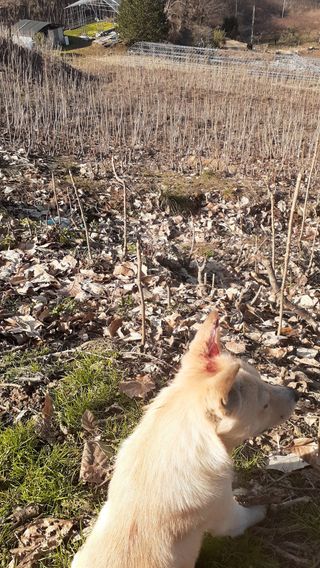 알 수 없음님의 자유주제 · 사진전 작성글 사진