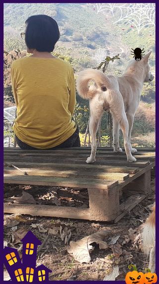 알 수 없음님의 자유주제 · 사진전 작성글 사진