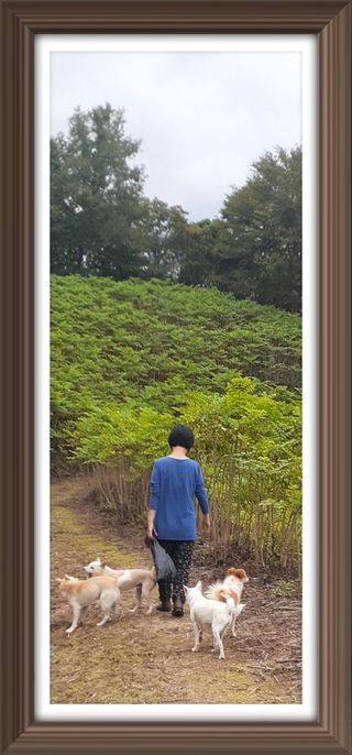 알 수 없음님의 자유주제 · 사진전 작성글 사진