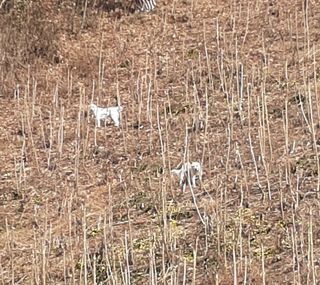 알 수 없음님의 자유주제 · 사진전 작성글 사진