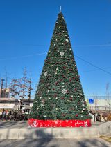 팜모닝 자유주제·자유게시판 게시글 이미지