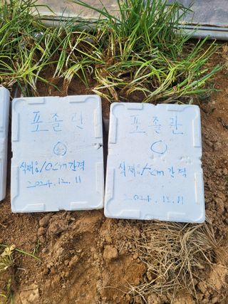 모링가팜님의 기타작물 · 영농일지 작성글 사진