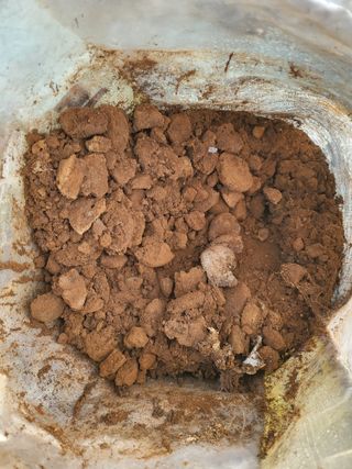 모링가팜님의 기타작물 · 영농일지 작성글 사진