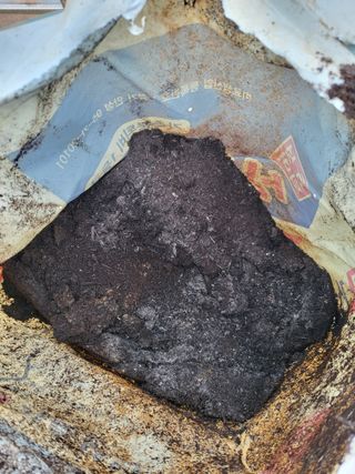 모링가팜님의 기타작물 · 영농일지 작성글 사진