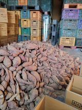 팜모닝 · 게시글 이미지