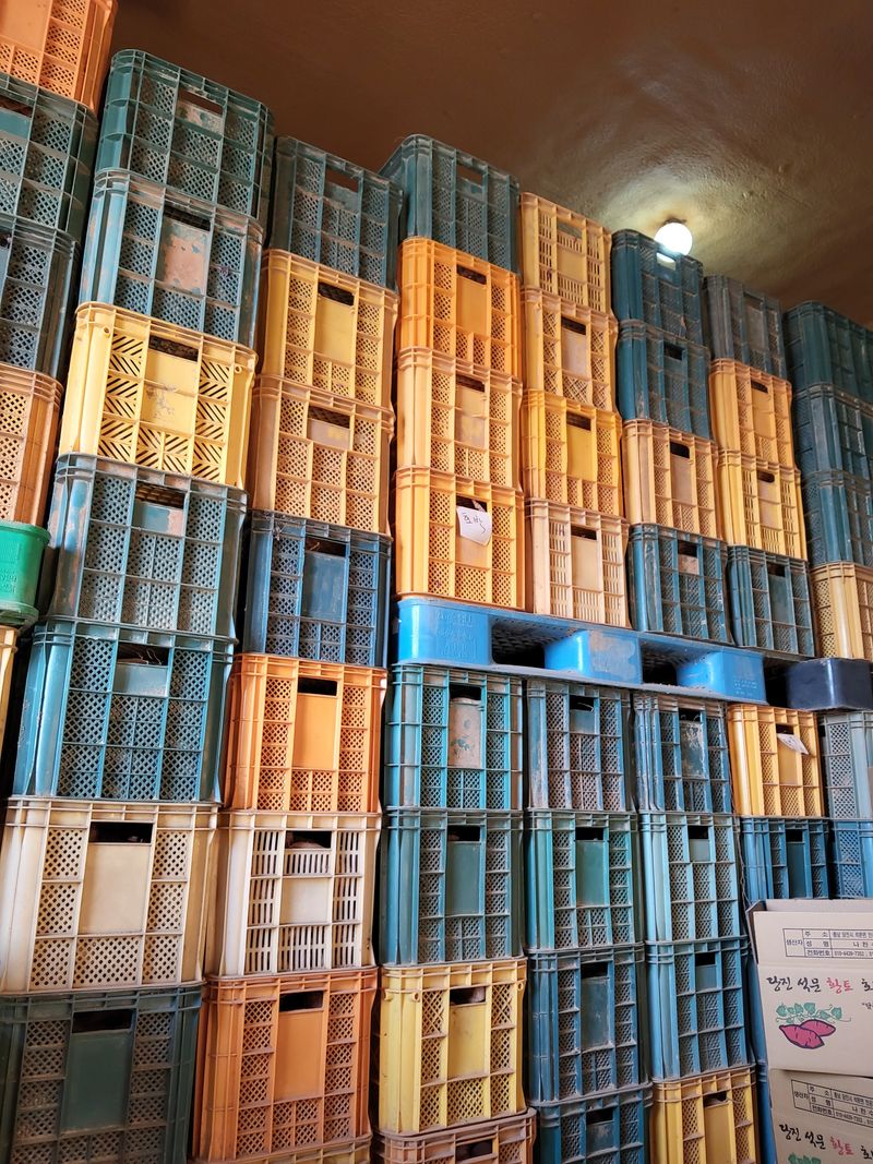 당진수농원박선이님의 장터 판매 상품 [호박고구마10kg] 첨부 사진