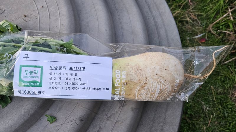 둘리아버지님의 장터 판매 상품 [황금배추1포기] 첨부 사진