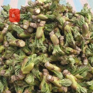 알 수 없음님의 자유주제 · 사진전 작성글 사진