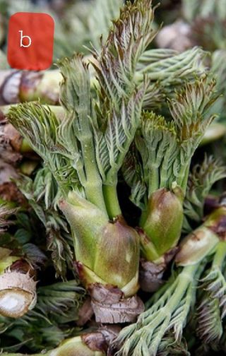 알 수 없음님의 자유주제 · 사진전 작성글 사진