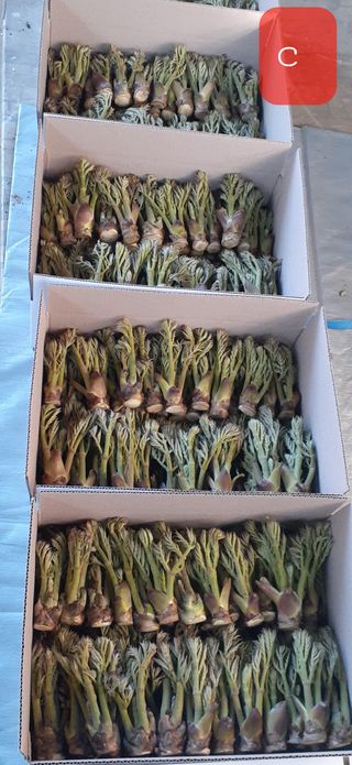 알 수 없음님의 자유주제 · 사진전 작성글 사진