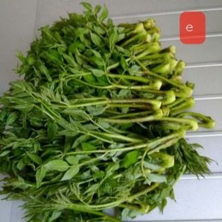 알 수 없음님의 자유주제 · 사진전 작성글 사진