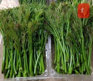 알 수 없음님의 자유주제 · 사진전 작성글 사진