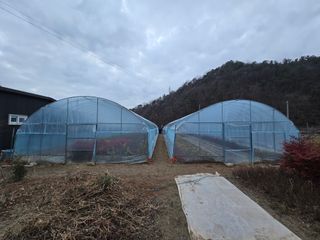 김진환님의 기타작물 · 영농일지 작성글 사진