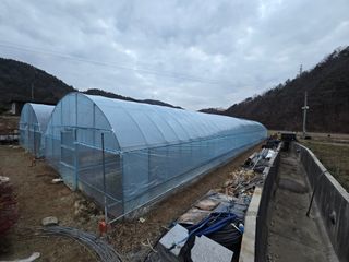 김진환님의 기타작물 · 영농일지 작성글 사진