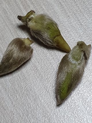한상동님의 자유주제 · 자유게시판 작성글 사진