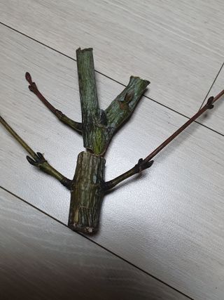 한상동님의 자유주제 · 자유게시판 작성글 사진