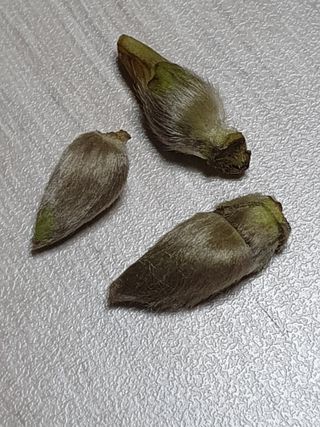 한상동님의 자유주제 · 자유게시판 작성글 사진