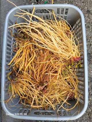 정찬영님의 자유주제 · 자유게시판 작성글 사진