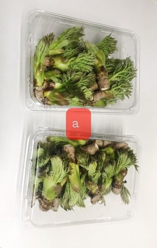 알 수 없음님의 자유주제 · 사진전 작성글 사진