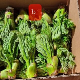 알 수 없음님의 자유주제 · 사진전 작성글 사진