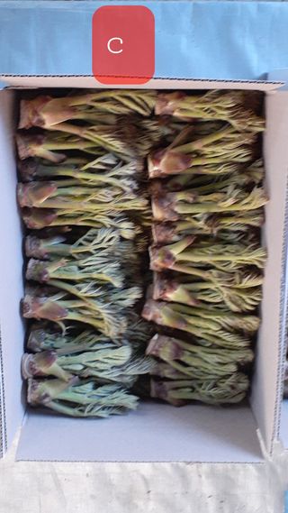 알 수 없음님의 자유주제 · 사진전 작성글 사진