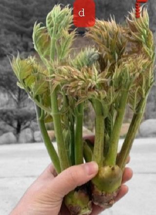 알 수 없음님의 자유주제 · 사진전 작성글 사진