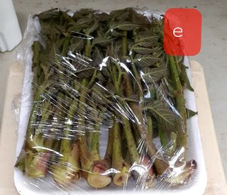 알 수 없음님의 자유주제 · 사진전 작성글 사진