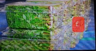 알 수 없음님의 자유주제 · 사진전 작성글 사진